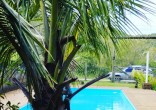 Casa  venda em Bombinhas