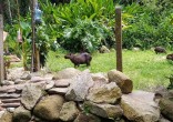 Casa com Características de Sítio à Venda no Maris