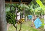 Casa com Características de Sítio à Venda no Maris
