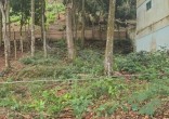 Terreno à Venda em Zimbros ? Rua Tranquila e Sem S