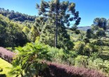 Sitio Gramado