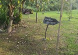 Casa � Venda em Zimbros a 400 Metros da Praia