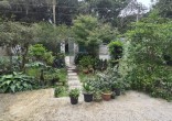 Casa à venda em Mariscal com fundos para a mata |
