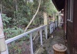 Casa à venda em Mariscal com fundos para a mata |