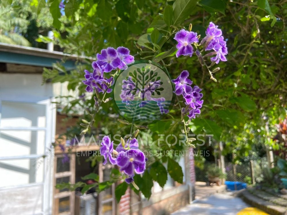 Casa charmosa cercada pela natureza no Z Amndio,