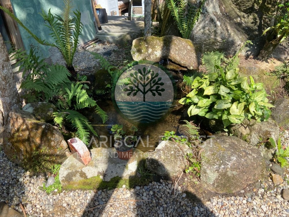 Casa charmosa cercada pela natureza no Z Amndio,