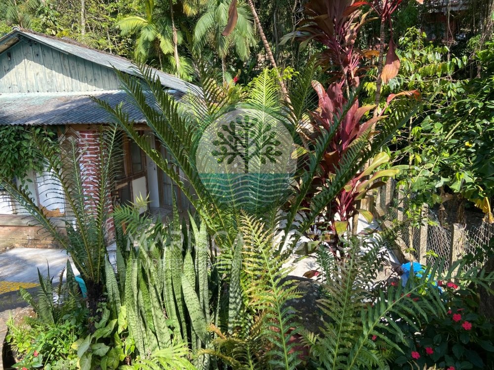 Casa charmosa cercada pela natureza no Z Amndio,