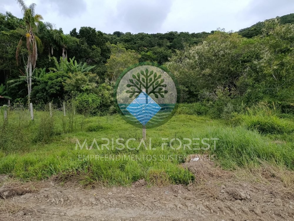 TERRENO FUNDOS PARA MATA ATL�NTICA NO MARISCAL