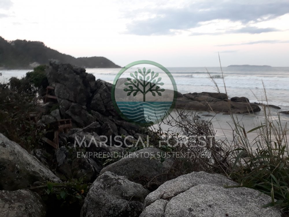 TERRENO FUNDOS PARA MATA ATL�NTICA NO MARISCAL