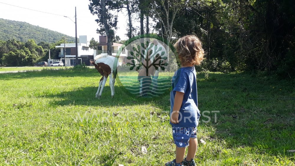 TERRENO FUNDOS PARA MATA ATL�NTICA NO MARISCAL