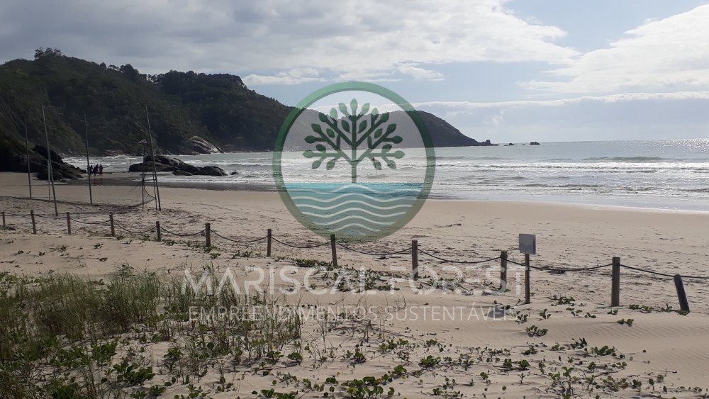 TERRENO FUNDOS PARA MATA ATL�NTICA NO MARISCAL