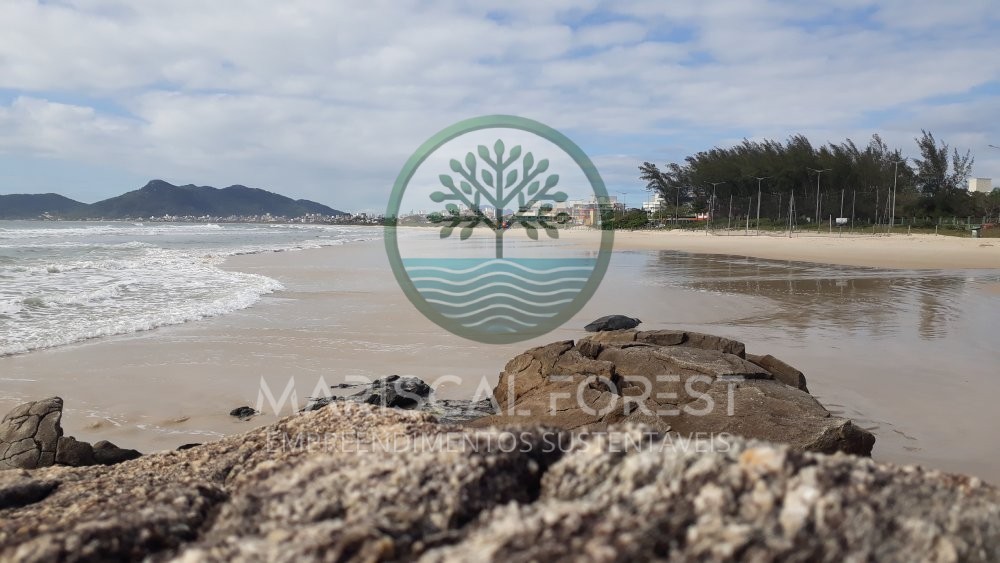 TERRENO FUNDOS PARA MATA ATL�NTICA NO MARISCAL