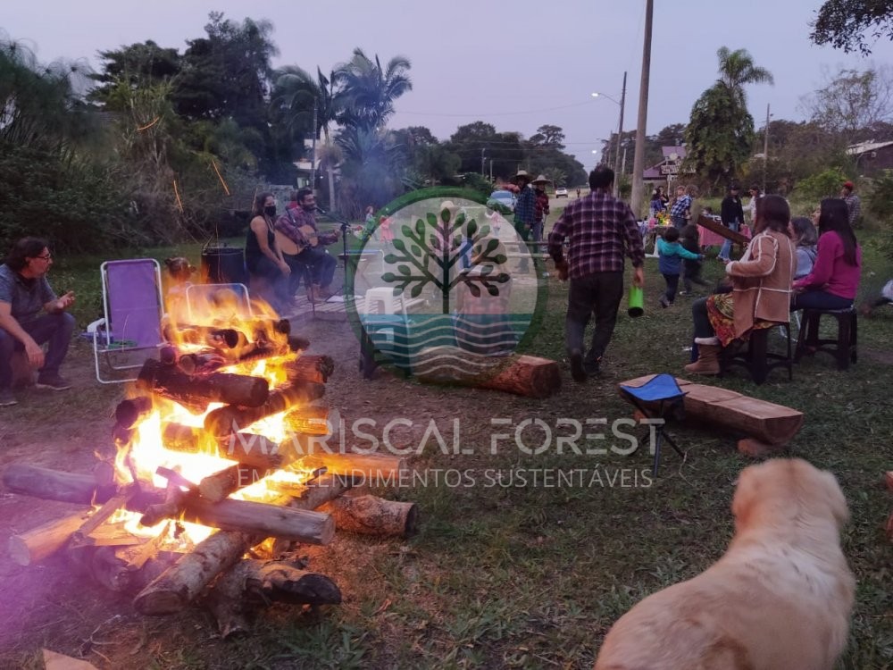 TERRENO FUNDOS PARA MATA ATL�NTICA NO MARISCAL