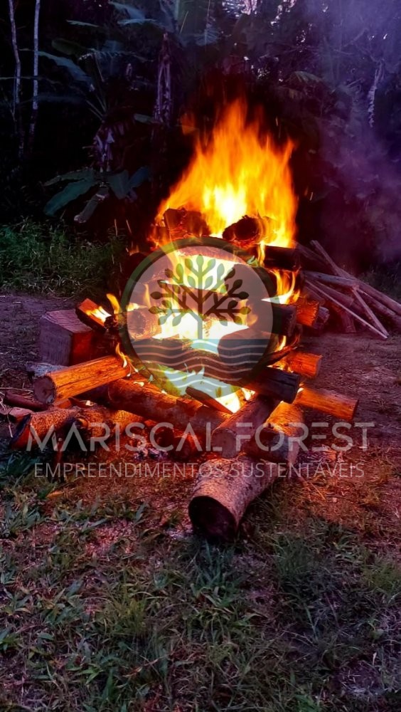 TERRENO FUNDOS PARA MATA ATL�NTICA NO MARISCAL