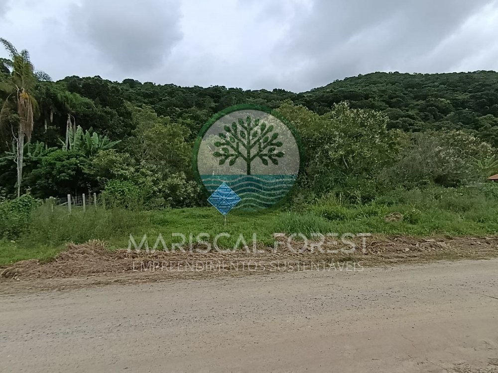 TERRENO FUNDOS PARA MATA ATL�NTICA NO MARISCAL