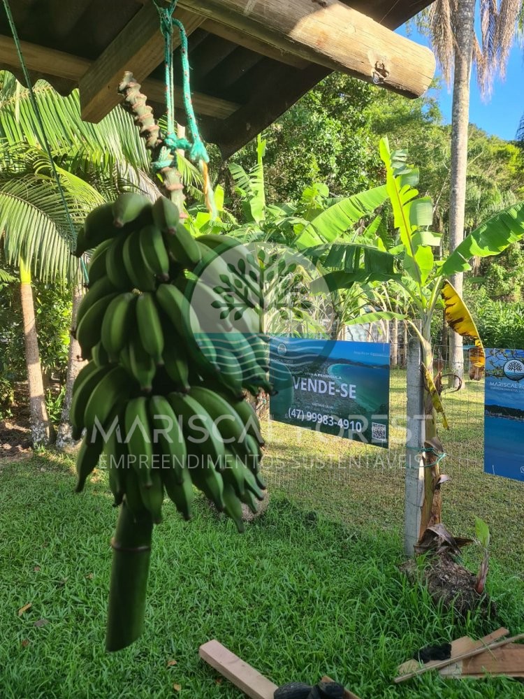Casa com Caracter�sticas de S�tio � Venda no Maris