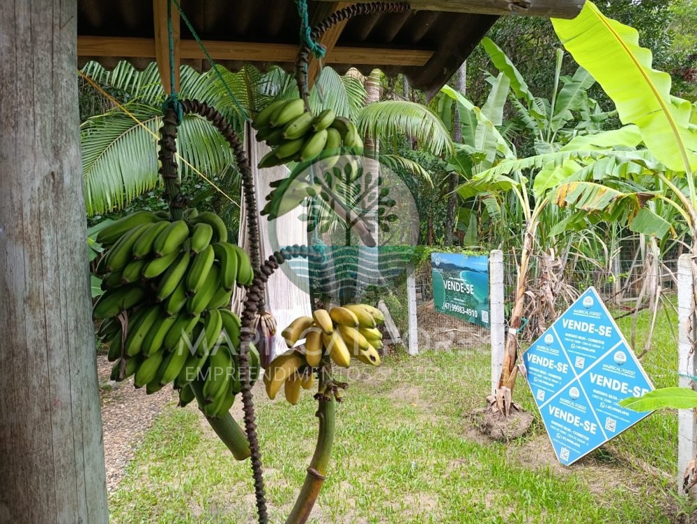 Casa com Caracter�sticas de S�tio � Venda no Maris