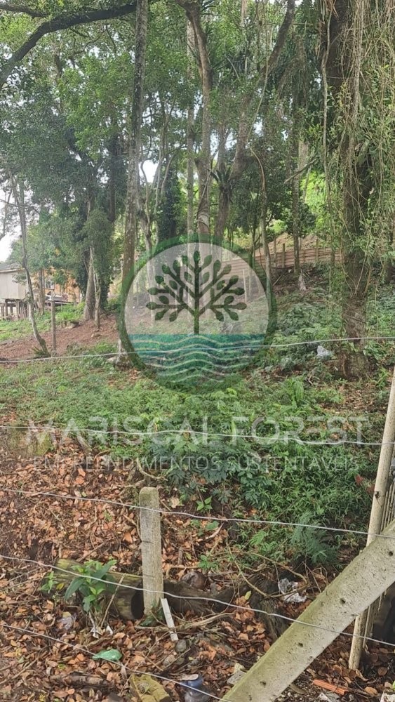 Terreno � Venda em Zimbros ? Rua Tranquila e Sem S
