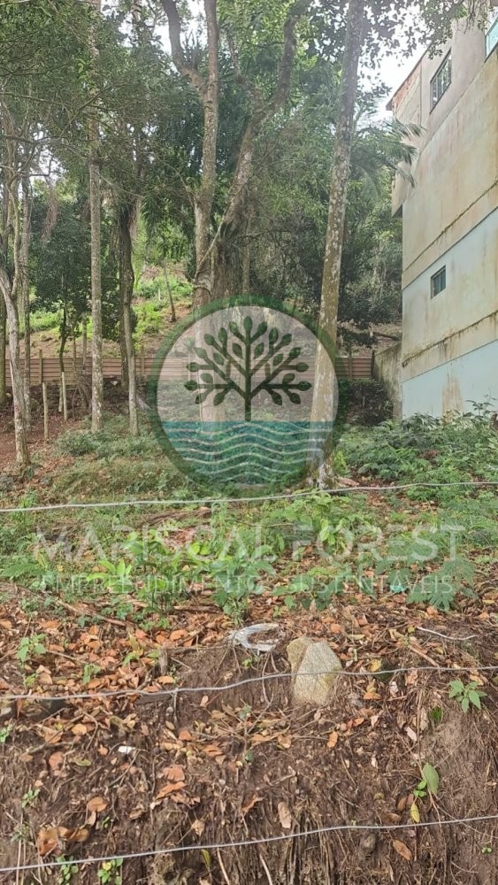 Terreno � Venda em Zimbros ? Rua Tranquila e Sem S