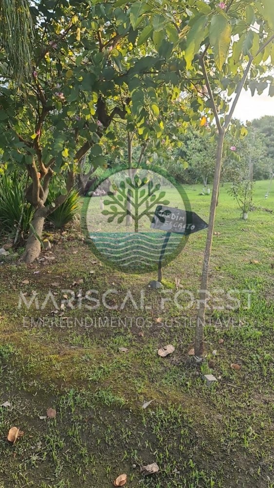 Casa � Venda em Zimbros a 400 Metros da Praia