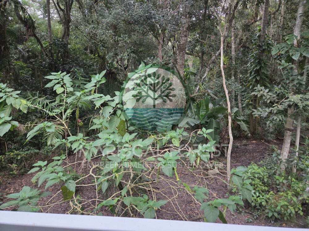 Casa � venda em Mariscal com fundos para a mata | 