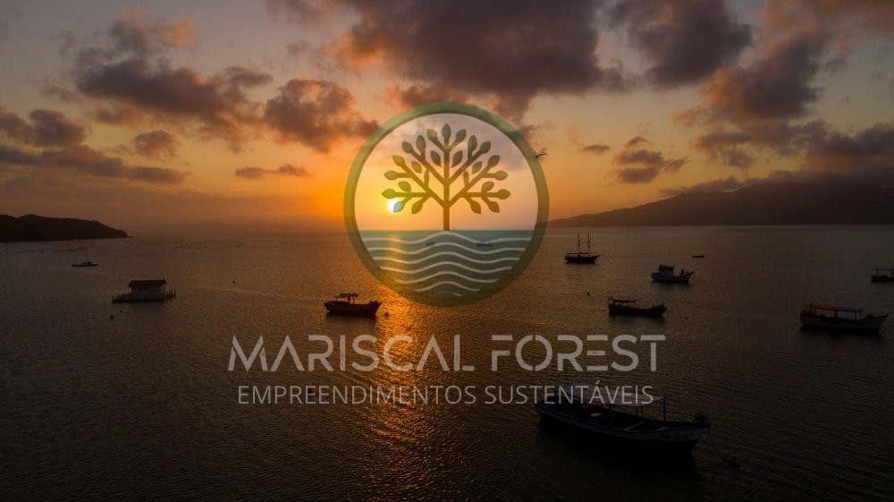 Casa com Piscina, Frente para �rea Verde e Rua Sem
