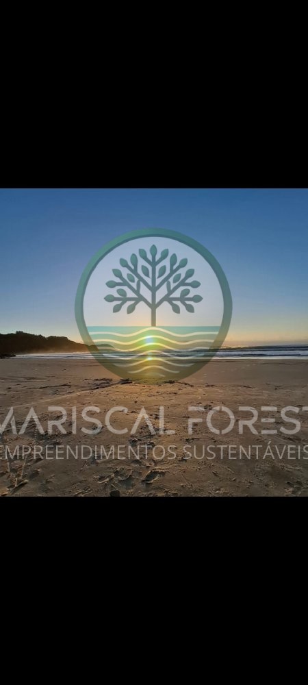 Casa com Piscina, Frente para �rea Verde e Rua Sem
